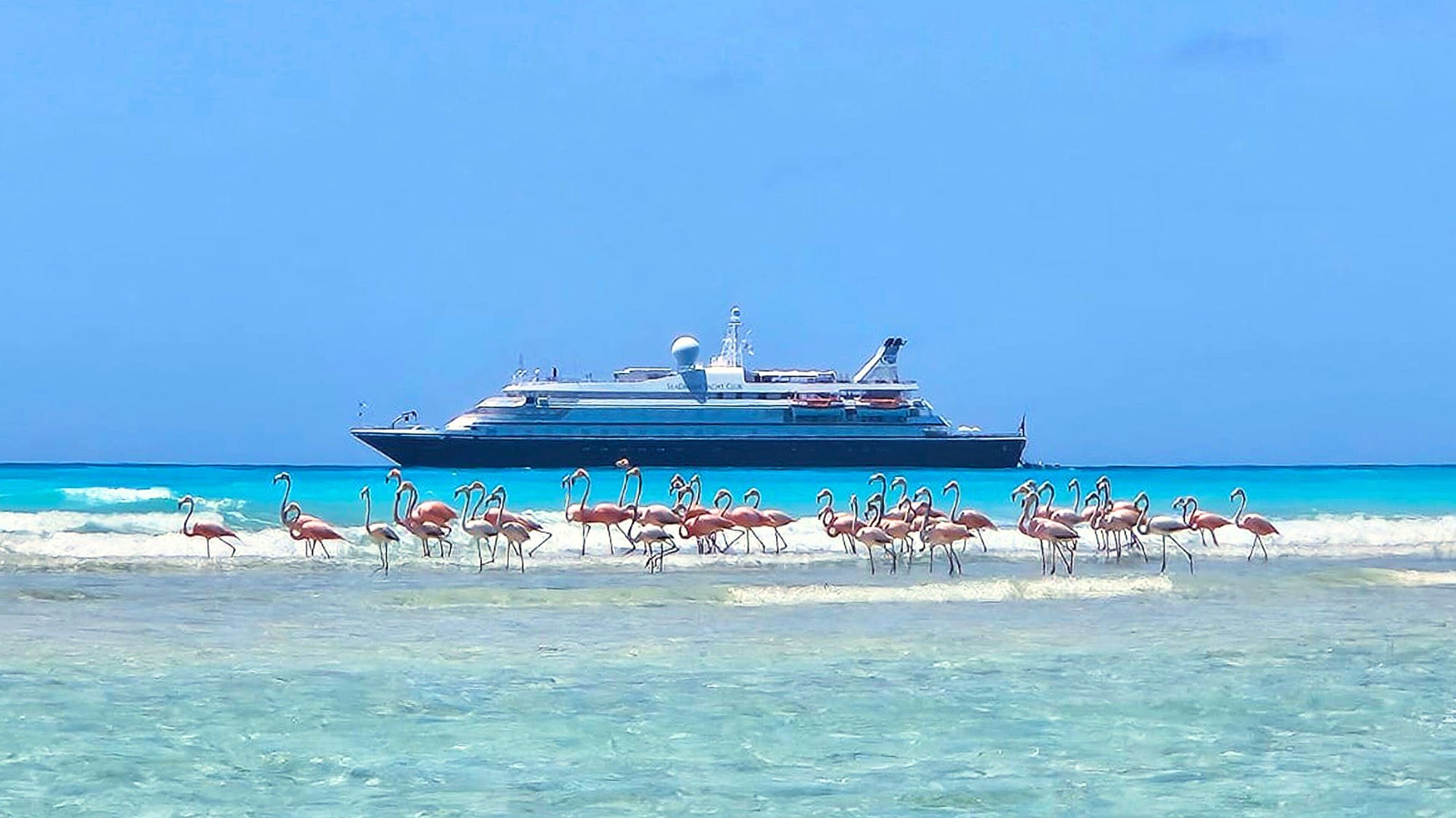 Bahamas_Flamingos_Edited