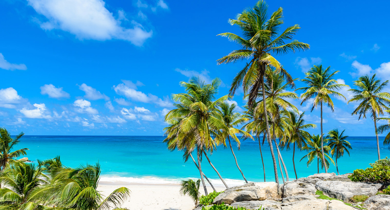 Carib_OSS_12806