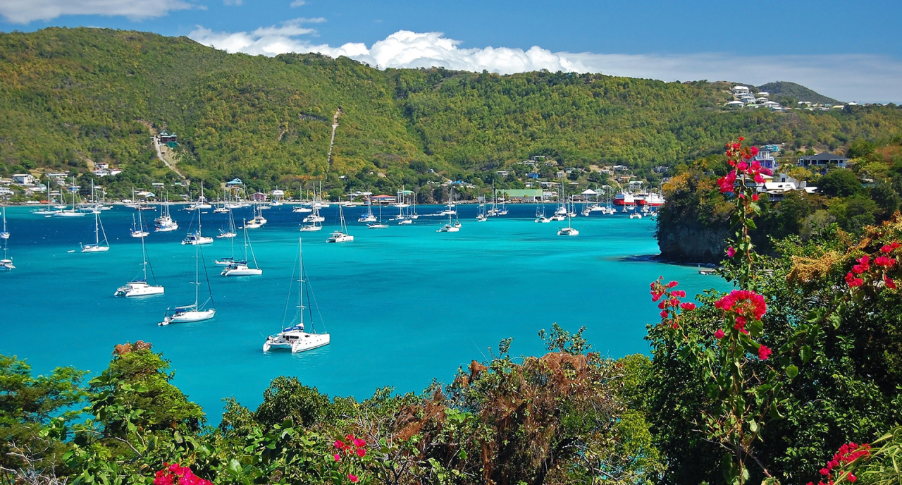 Carib_OSS_22809