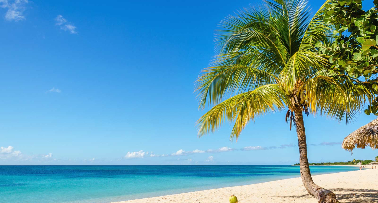 Carib_OSS_22813